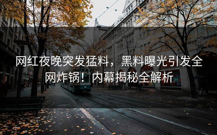 网红夜晚突发猛料，黑料曝光引发全网炸锅！内幕揭秘全解析