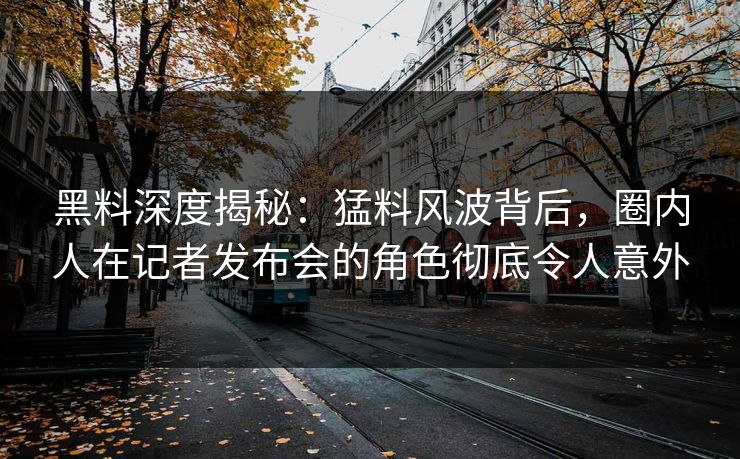 黑料深度揭秘：猛料风波背后，圈内人在记者发布会的角色彻底令人意外