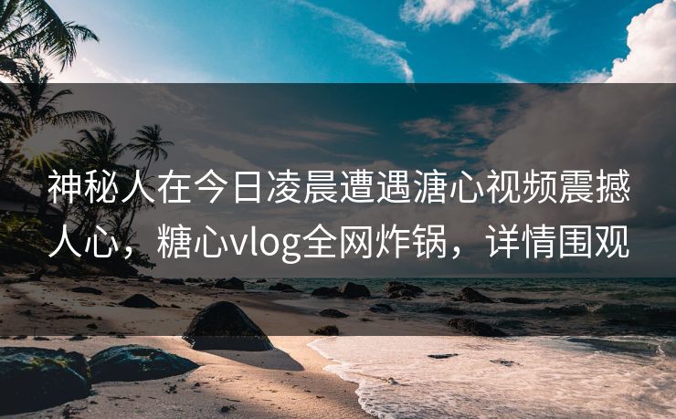 神秘人在今日凌晨遭遇溏心视频震撼人心，糖心vlog全网炸锅，详情围观