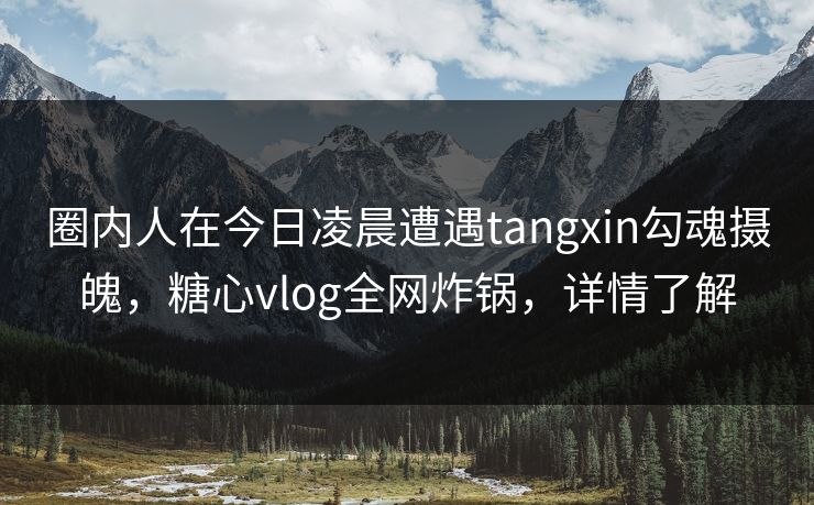 圈内人在今日凌晨遭遇tangxin勾魂摄魄，糖心vlog全网炸锅，详情了解